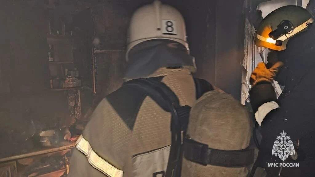    фото: МЧС России по Курской области