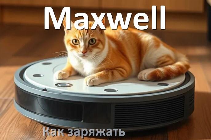 
Как заряжать робот-пылесос Maxwell правильно и сколько по времени