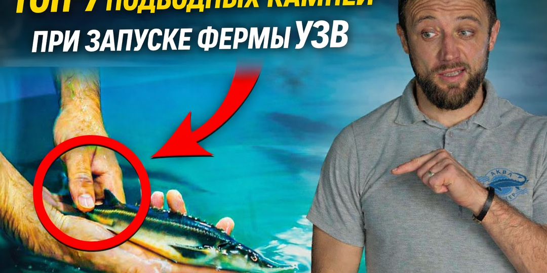 ТОП-7 подводных камней при запуске фермы УЗВ