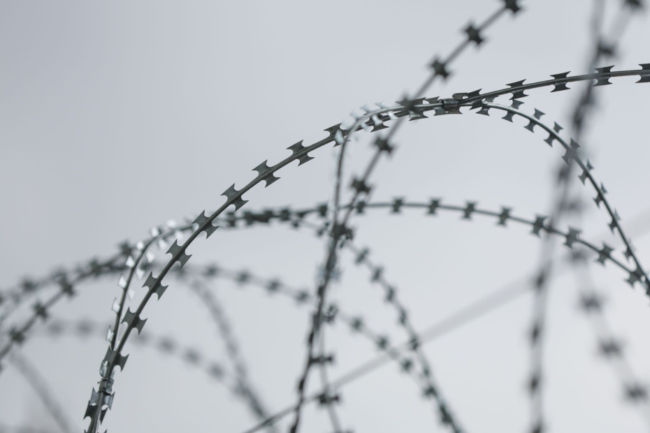    Алексей Белкин/NEWS.ru