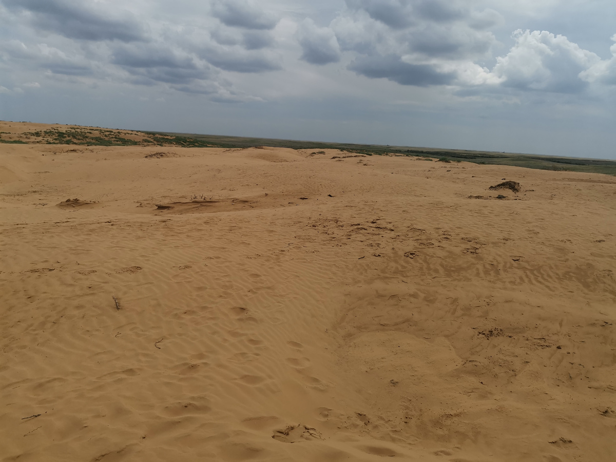 Поющие барханы