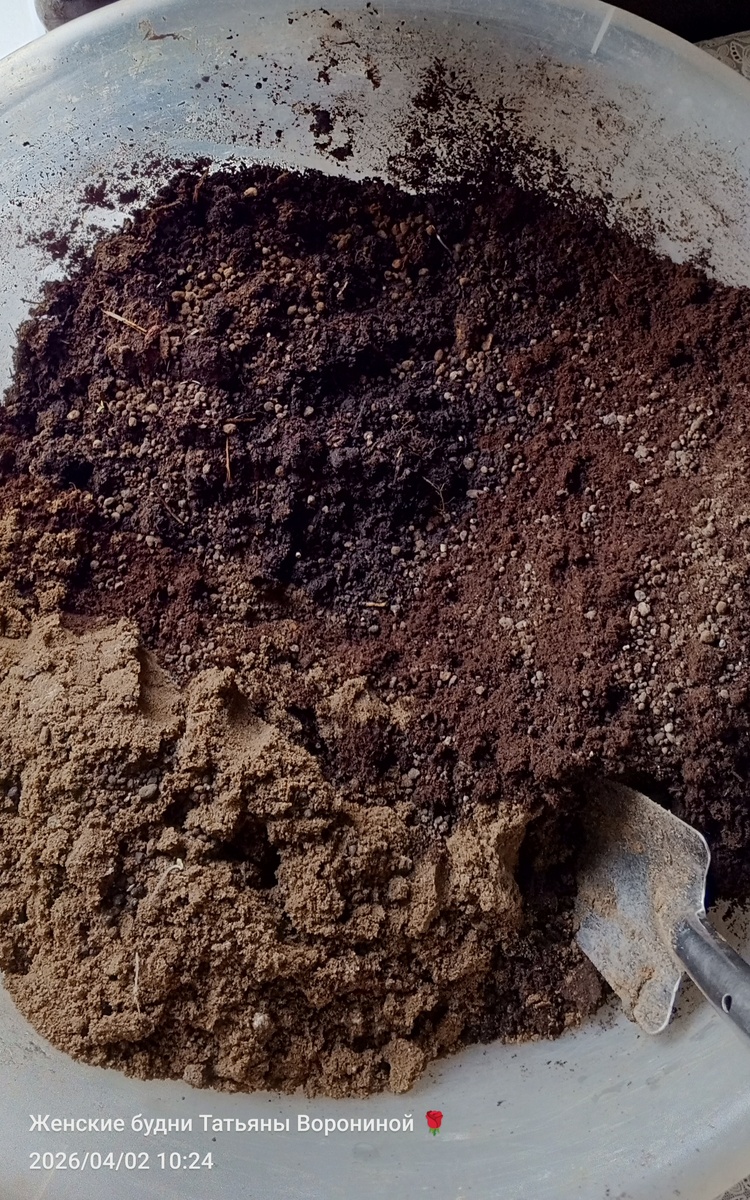 Перлит закончился, добавляю крупный песок для рыхлости. Замес для рассады томатов открытого грунта
