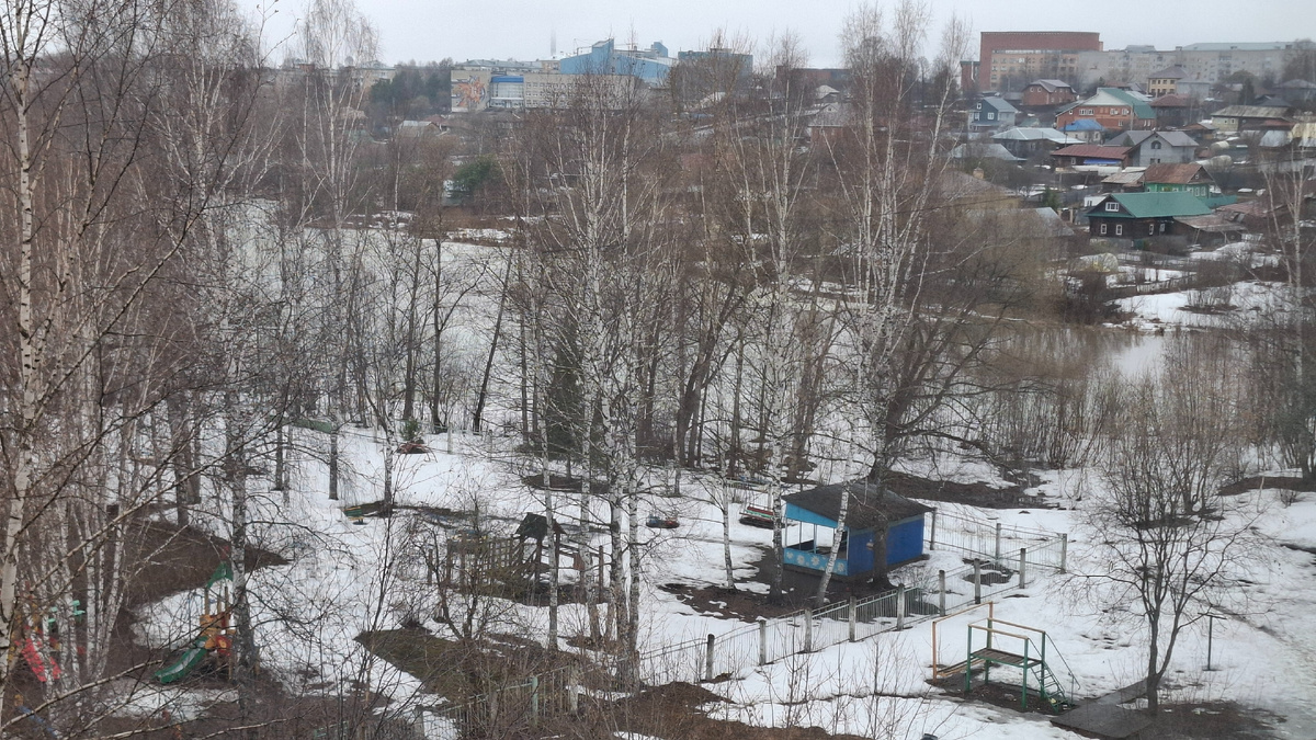 Утро туманное. Снега все меньше становится. Река вскрылась.