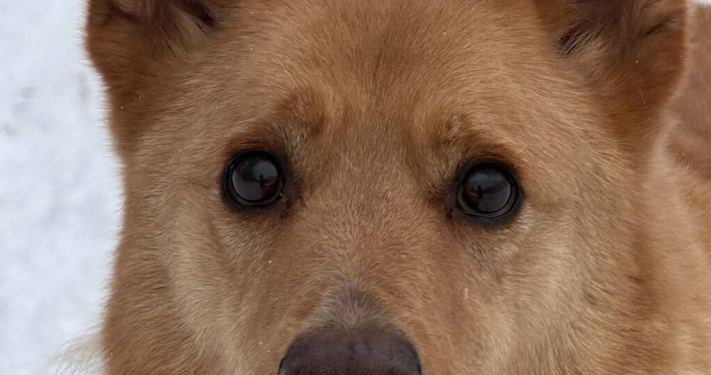 СЕЙЧАС КАЖДАЯ БАНОЧКА НА СЧЁТУ