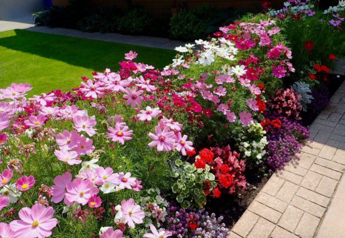 Источник фото: ozon.ru