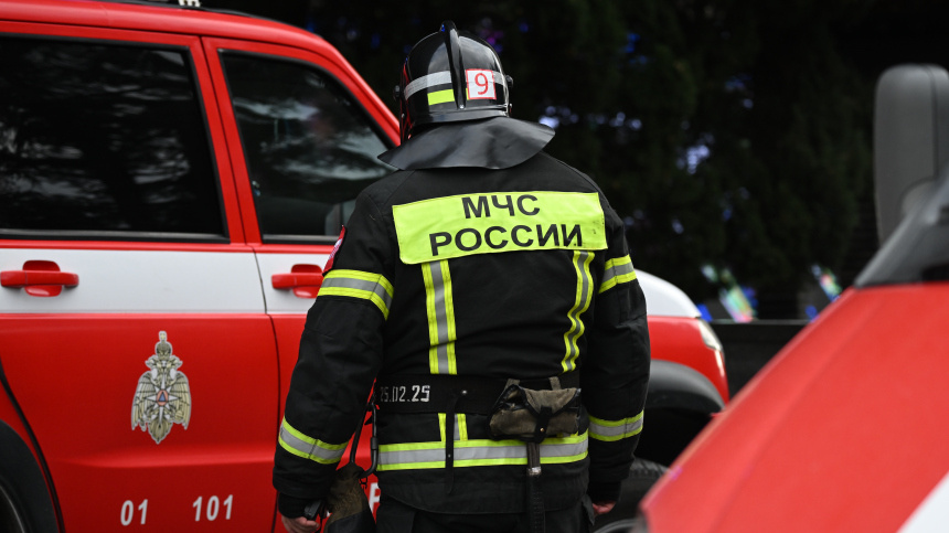    Фото: © РИА Новости/Константин Михальчевский