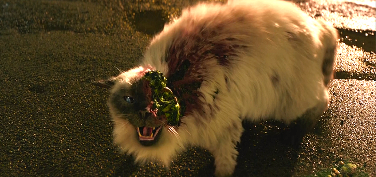 Кадр из фильма "Зараза"