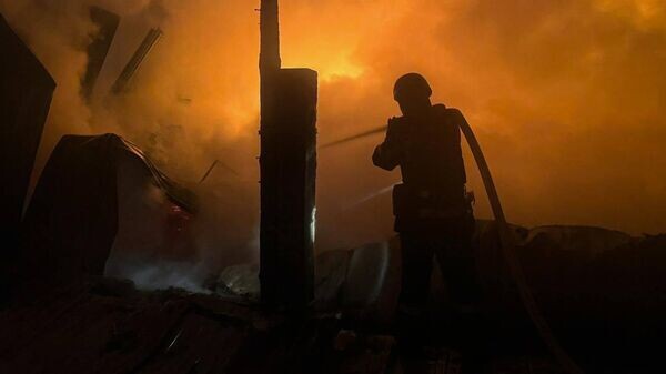    © Telegram Владимир Зеленский