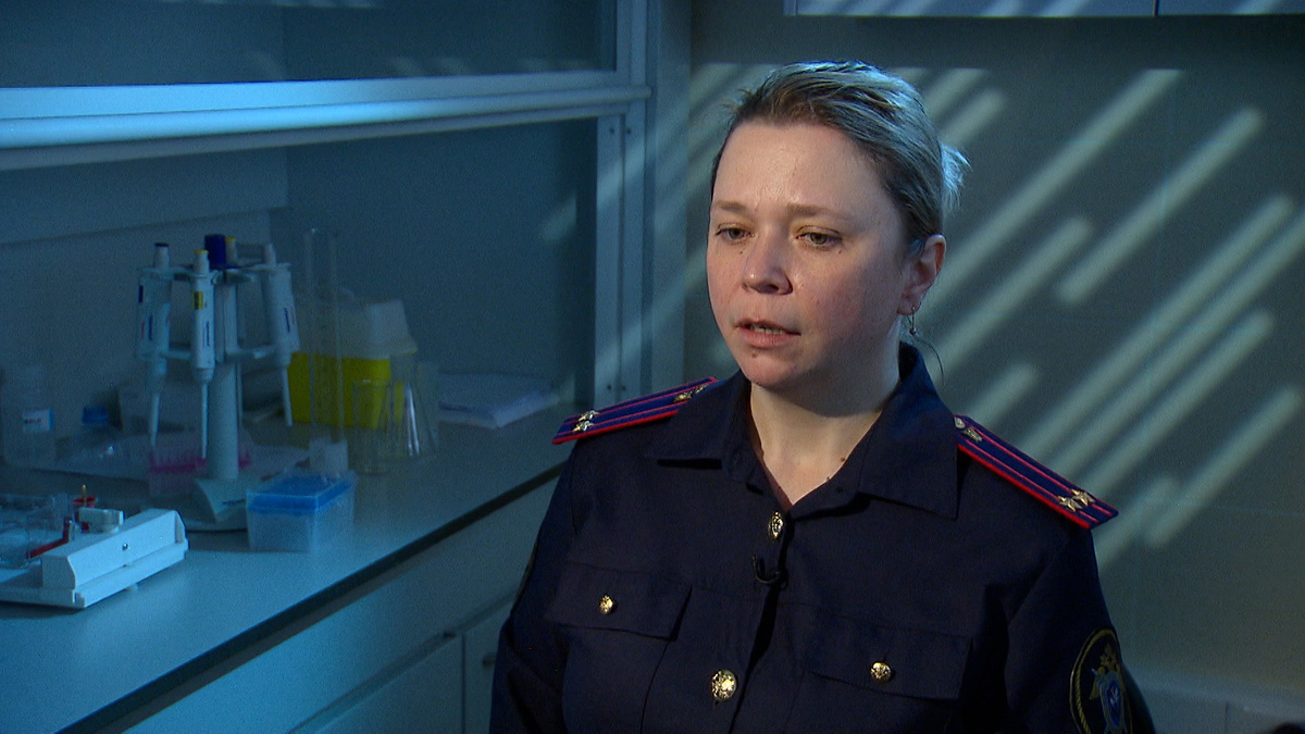    Кадр телеканала "Россия 24"