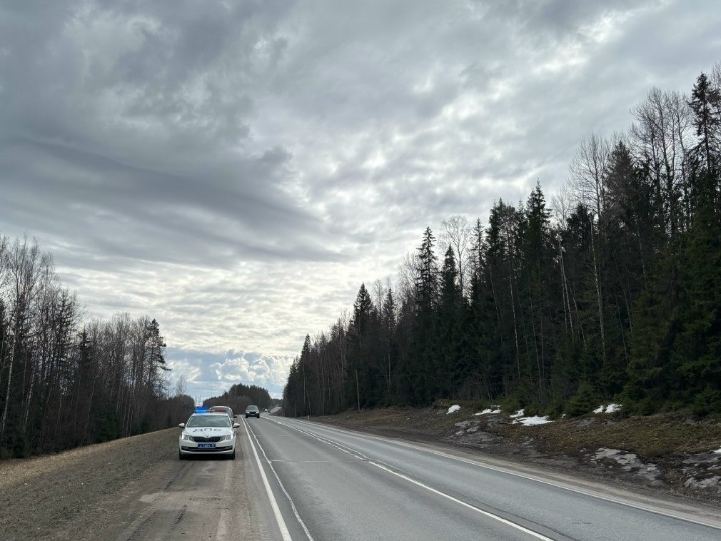    фото: https://vk.com/gibddkareliya