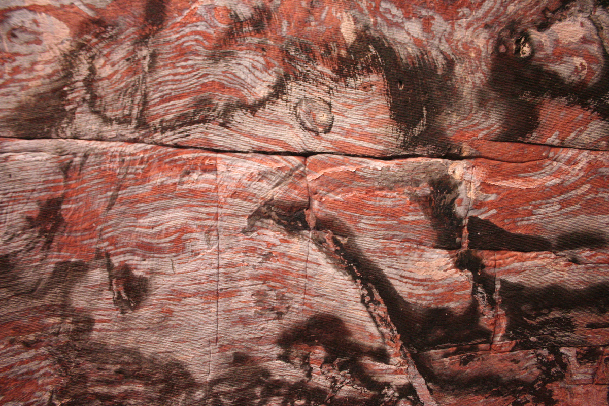 Нашествие динозавров