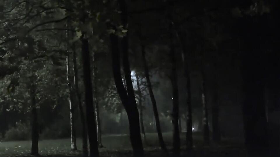 Фото: © Скриншот видео