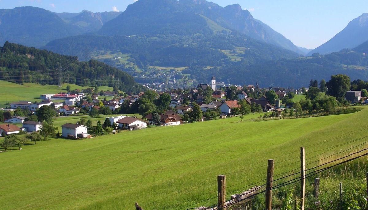 Фото из интернета 