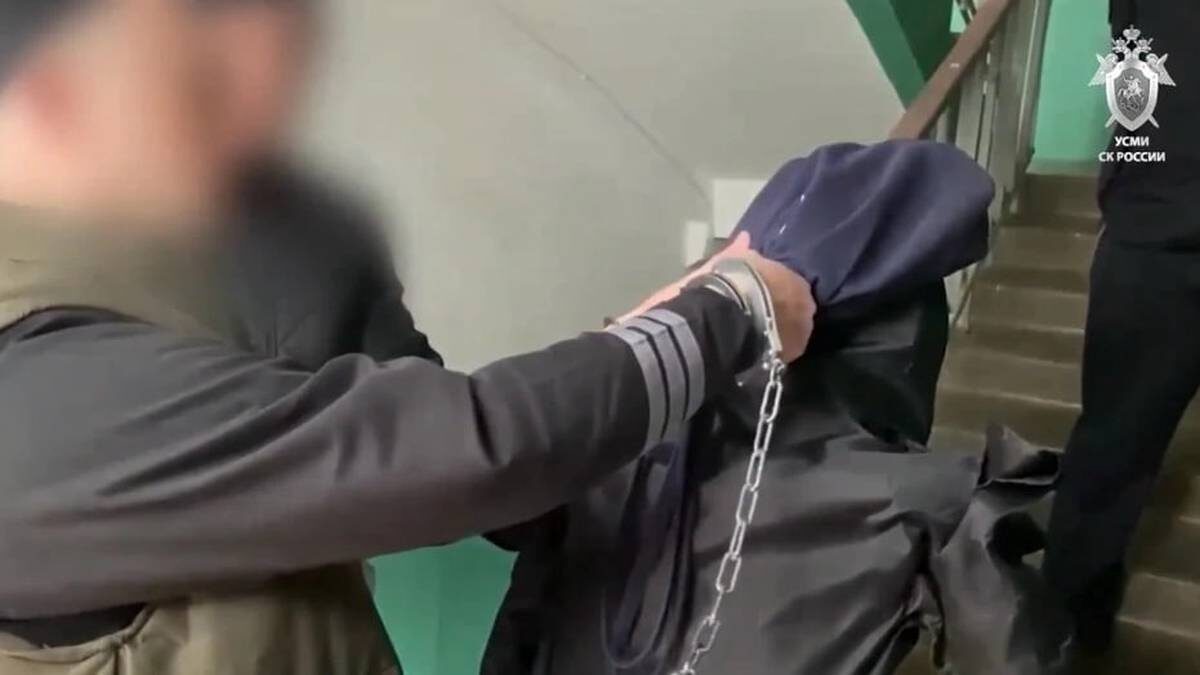    Фото: скриншот / Cледком / Telegram