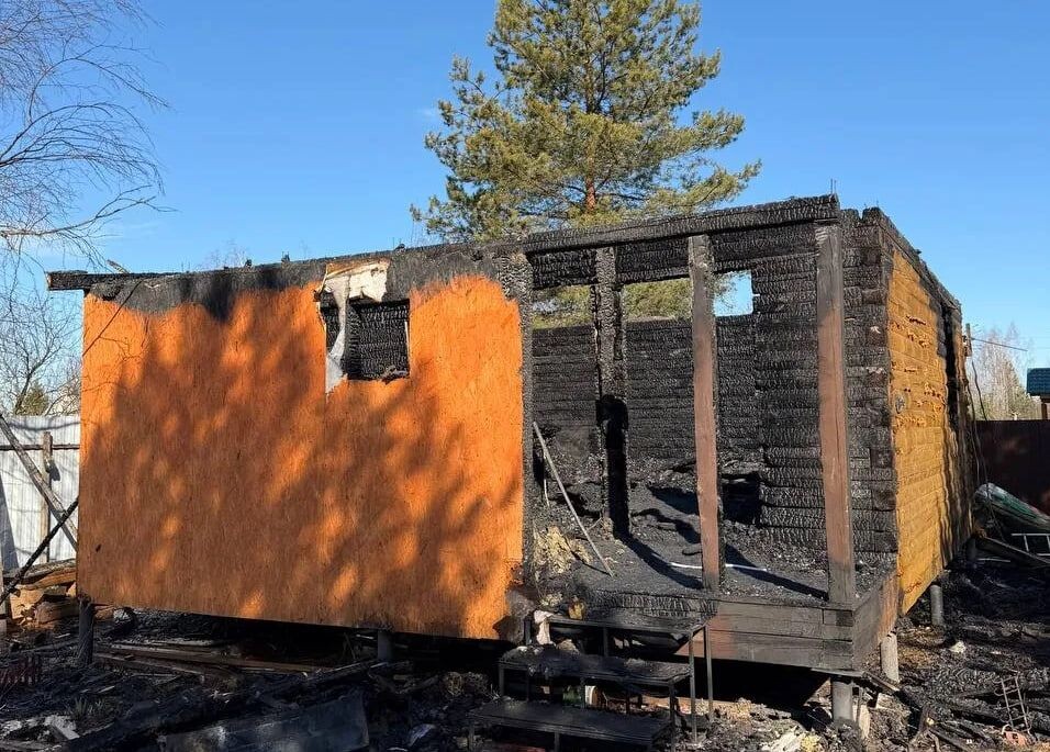     / Источник: Прокуратура Московской области