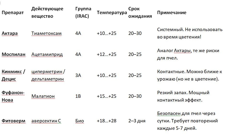 Таблица и фото Натальи Мироновой