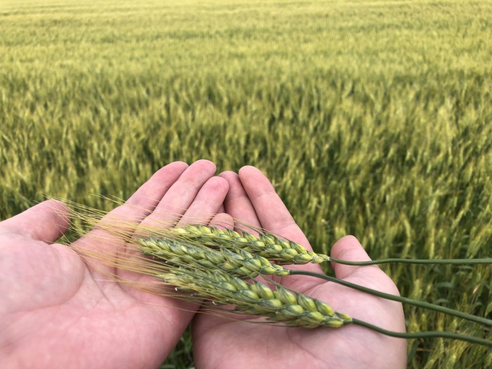    Фото: СвоёТВ Михаил Маслов