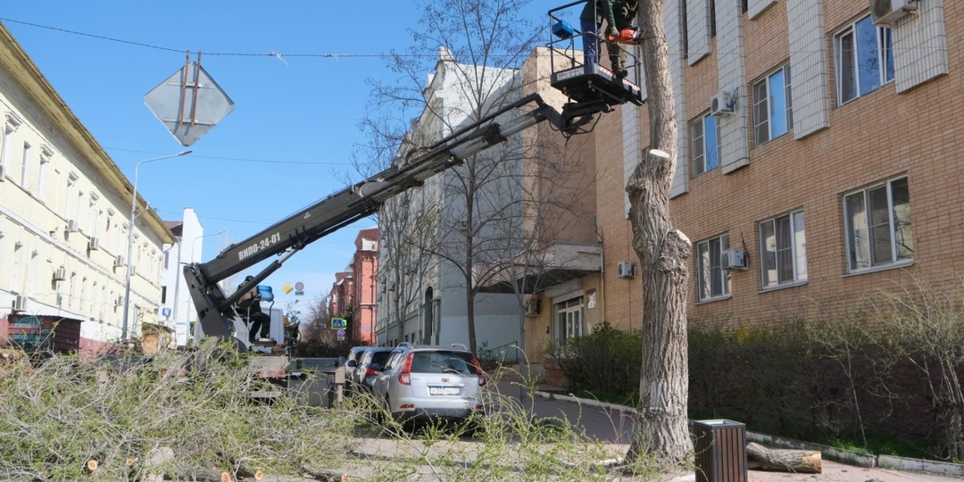 В центре Астрахани спиливают деревья