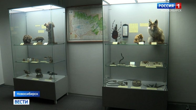 В Новосибирске открылась выставка о клещевом энцефалите