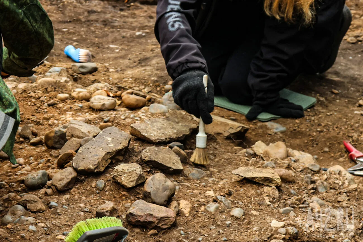 Источник:https://poisknews.ru/