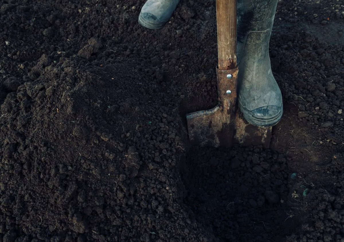 Источник фото: vzglyad.uz