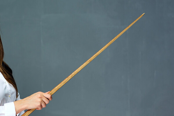 Shutterstock/FOTODOM   📷