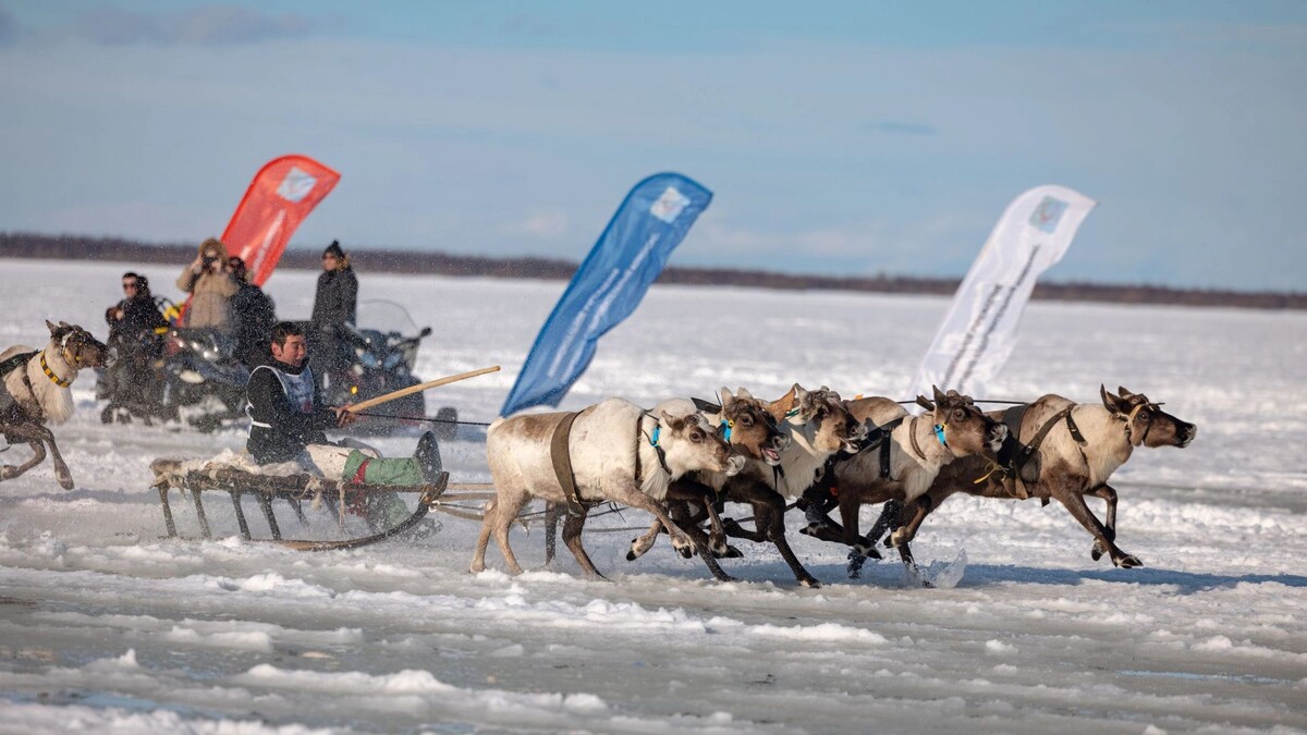    Фото: Сергей Зубков / «Ямал-Медиа»