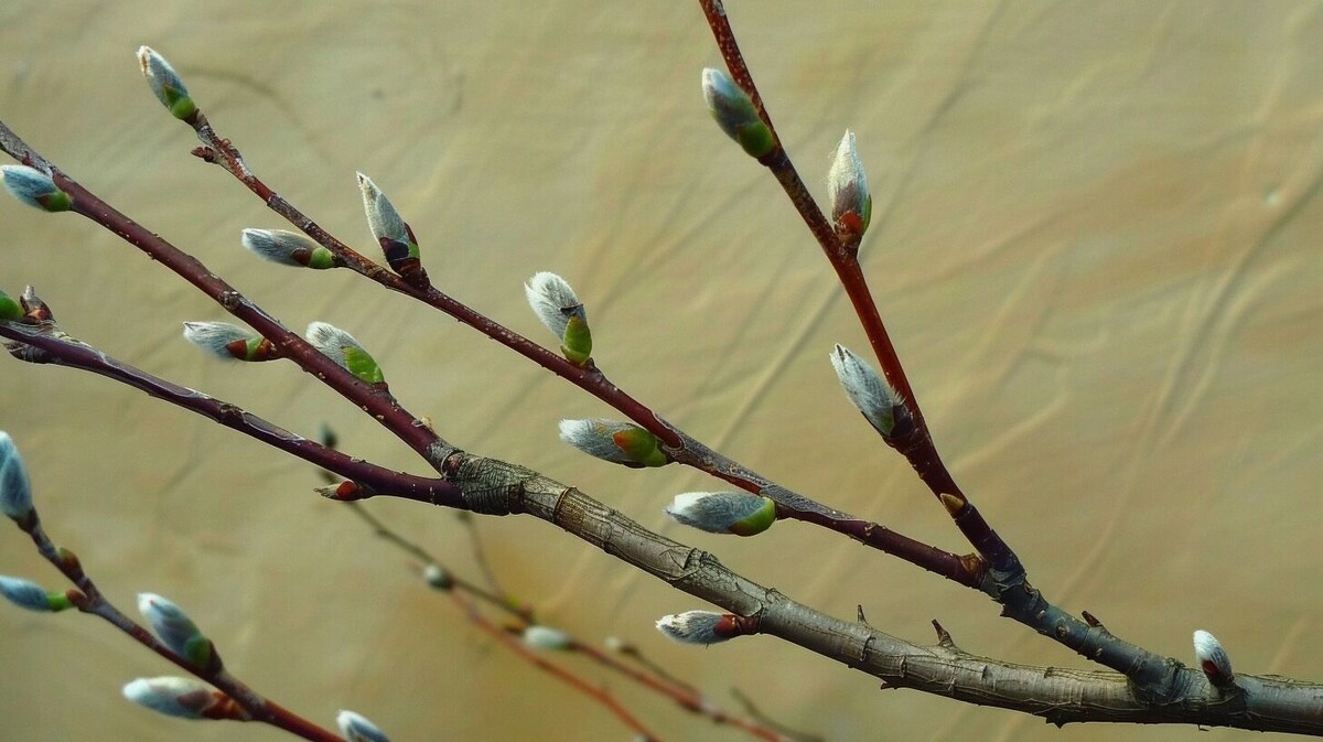     Источник: Изображение Midjourney