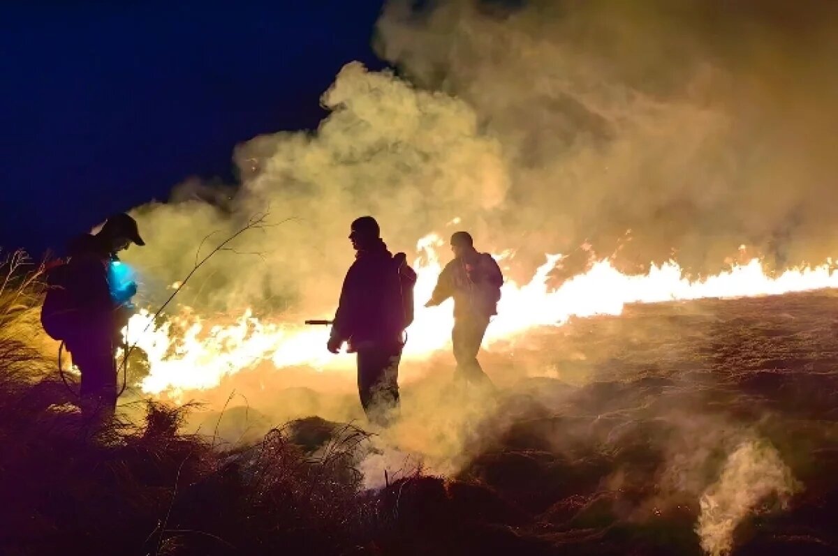   В тверском МЧС напомнили суммы штрафов за сжигание сухой травы
