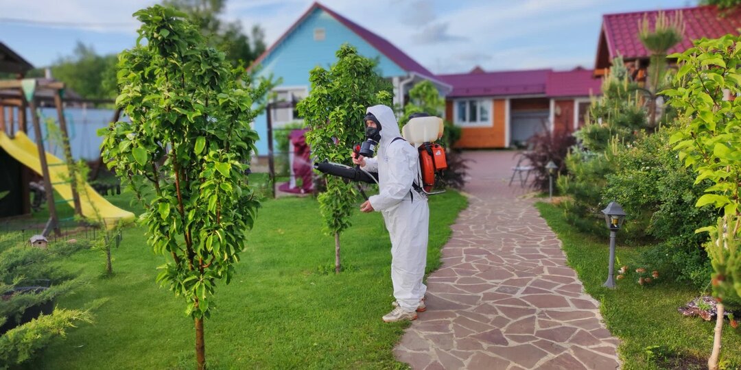 Баковые смеси для апрельской обработки сада, что можно, а что нельзя смешивать