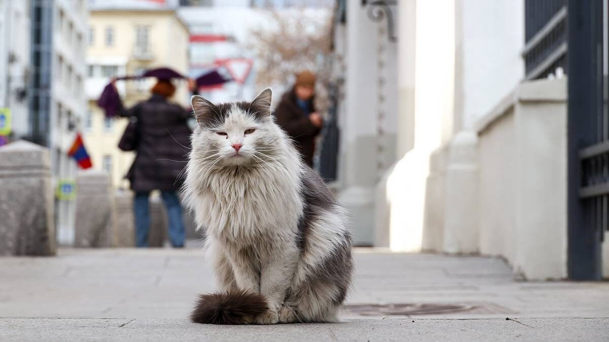    Фото: Ярослав Чингаев / АГН Москва