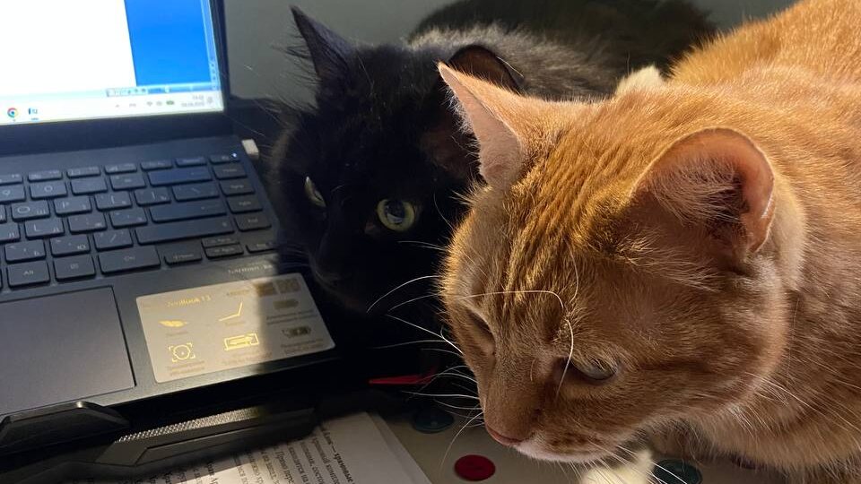 Вебинар об архитектуре Явы и Бали завершен