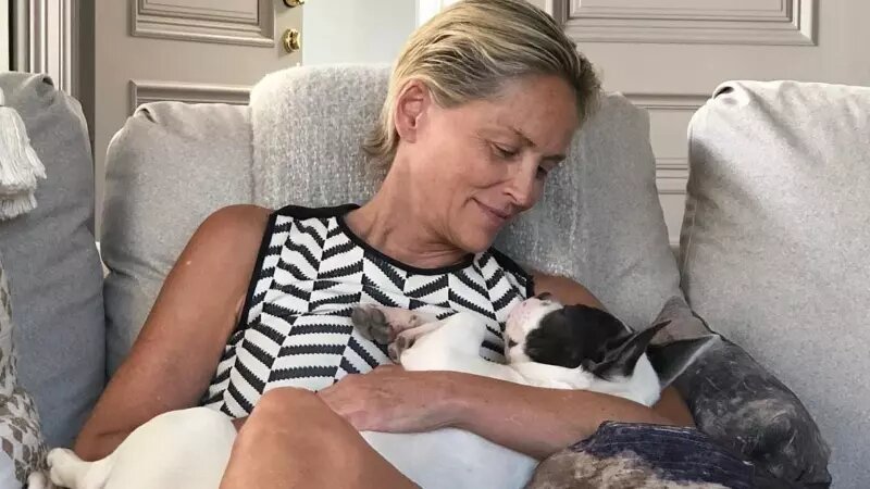    Шэрон Стоун. Фото: соцсети.