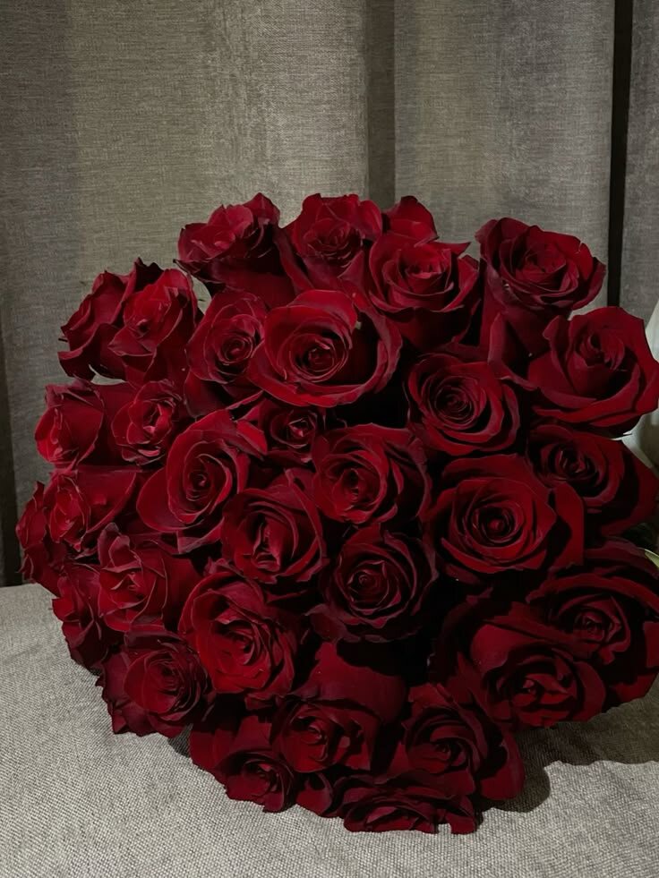 Фото из свободных источников.