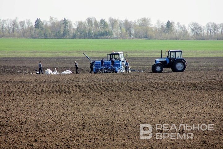   Илья Репин / realnoevremya.ru