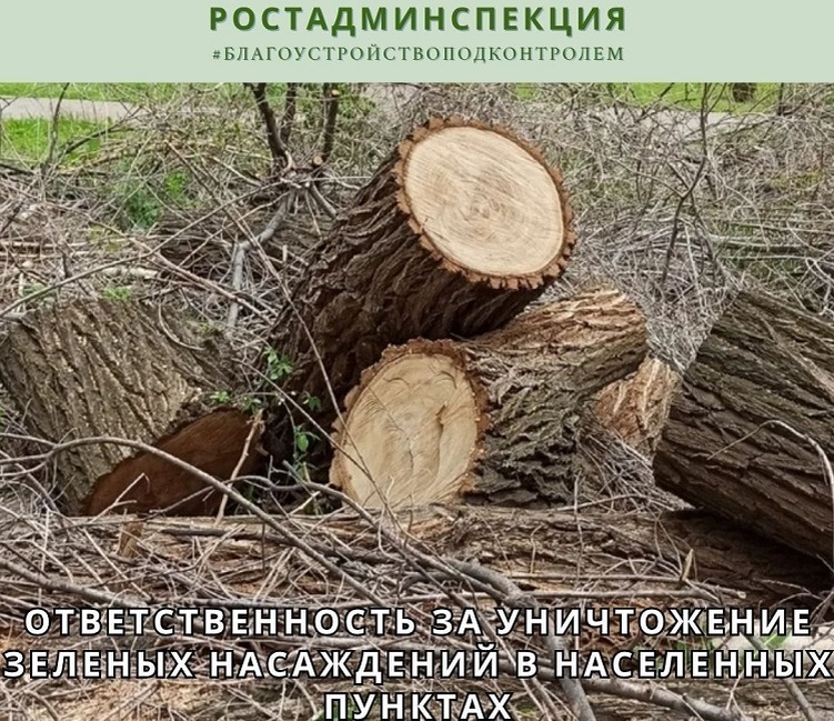    Фото ТГ-канала Росадмининспекции Татьяна Пшеничная