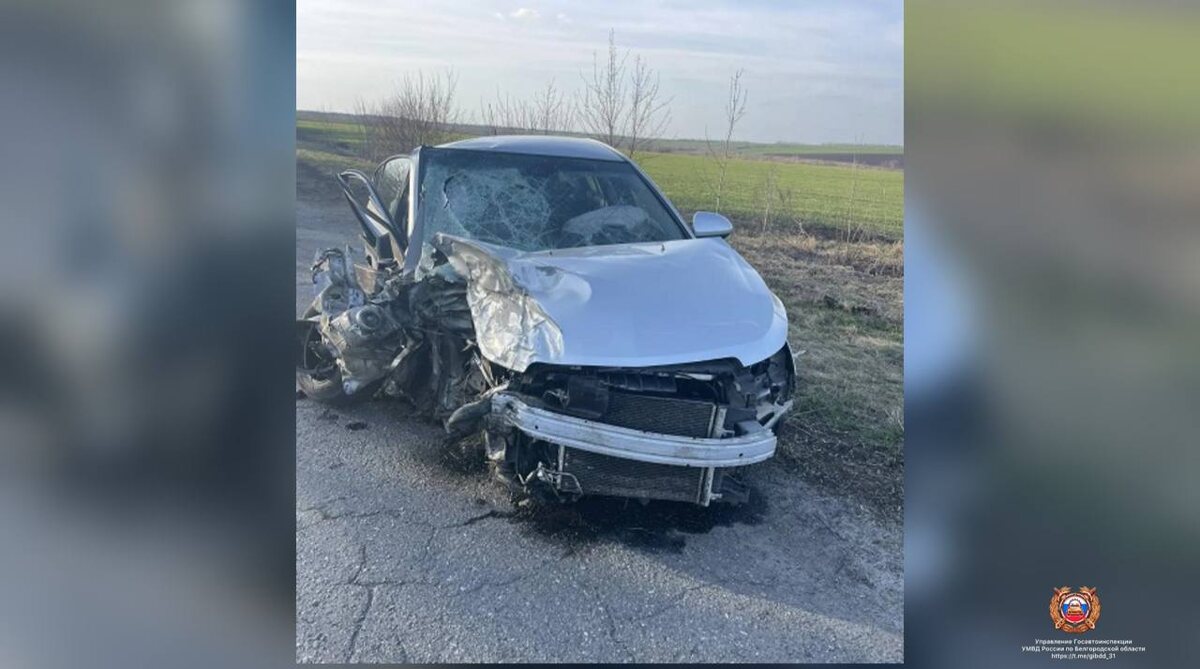     Фото: пресс-служба Госавтоинспекции