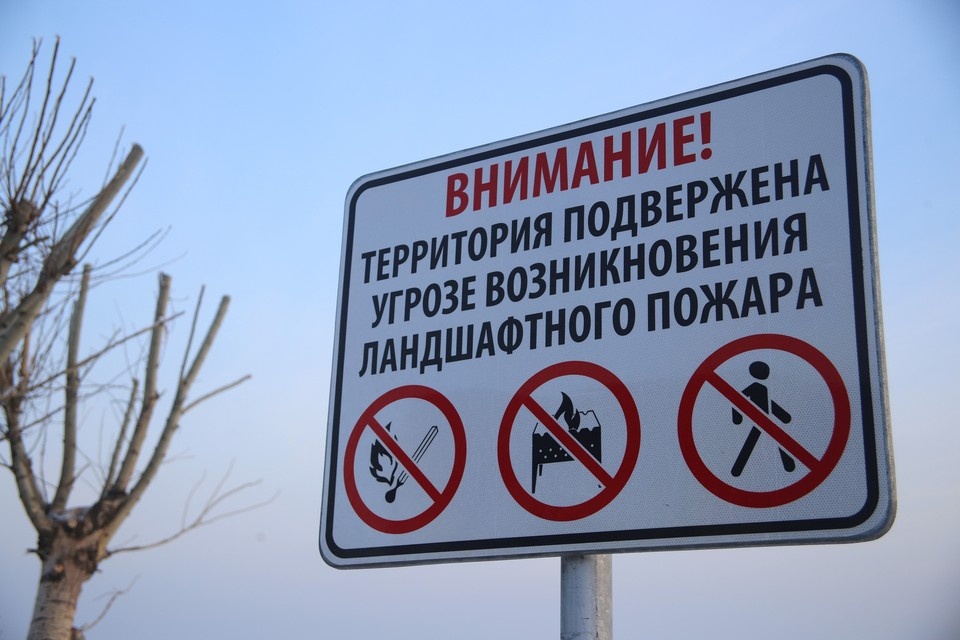   ИВАНОВА Диана