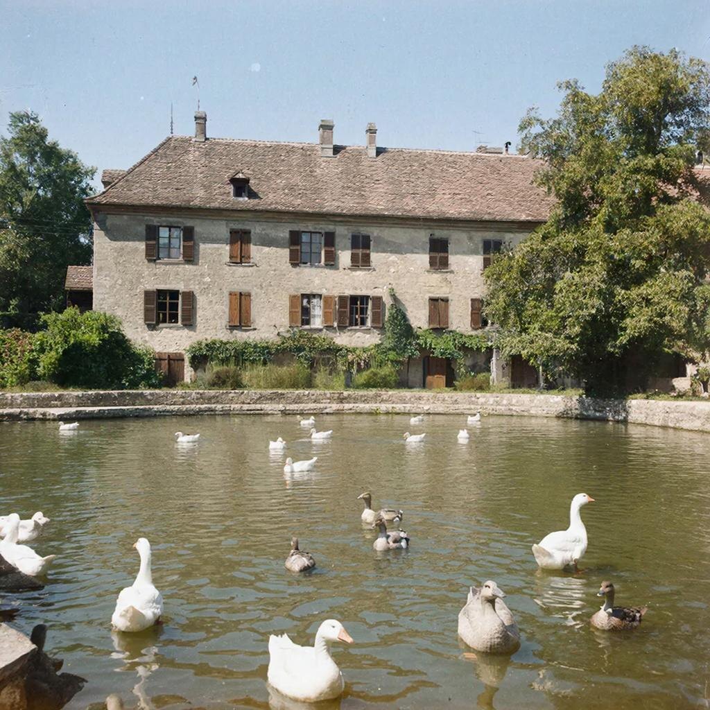 Реконструкция: Дом Лоренца в Альтенберге. Здесь он прожил десятилетия, окружённый гусями, галками, собаками и рыбами. Без клеток. Без вольеров.