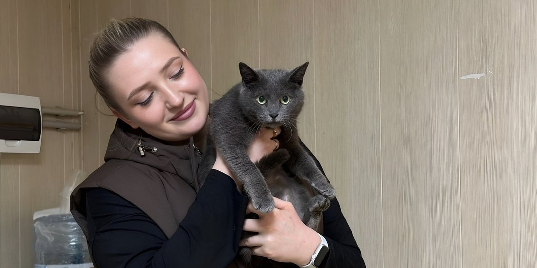 От приюта «Краснодог» к теплому дому: история кошки Селедки