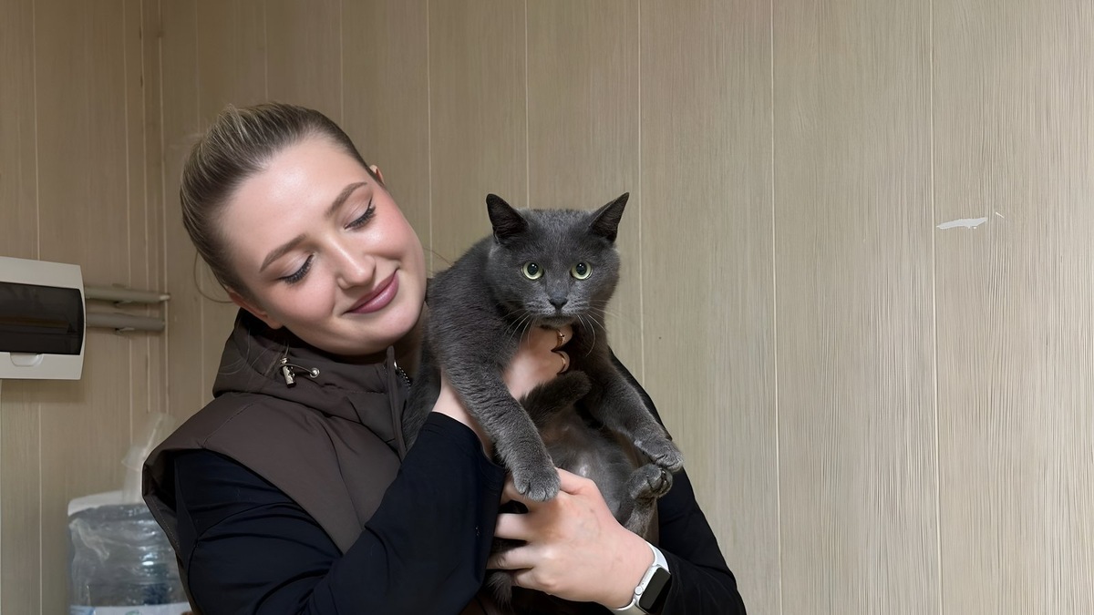    Серая кошка Селедка со своей хозяйкой