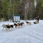    Фото: Минприроды Карелии