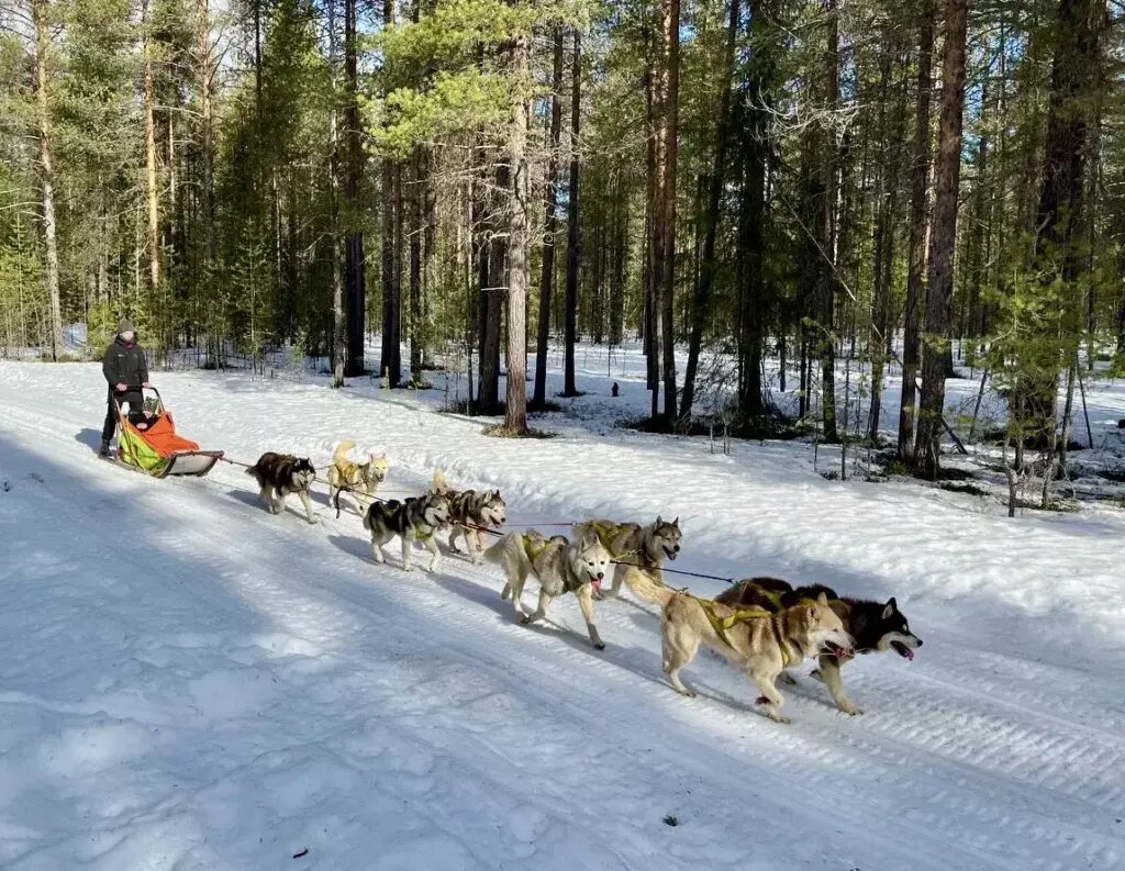Листайте вправо, чтобы увидеть больше изображений