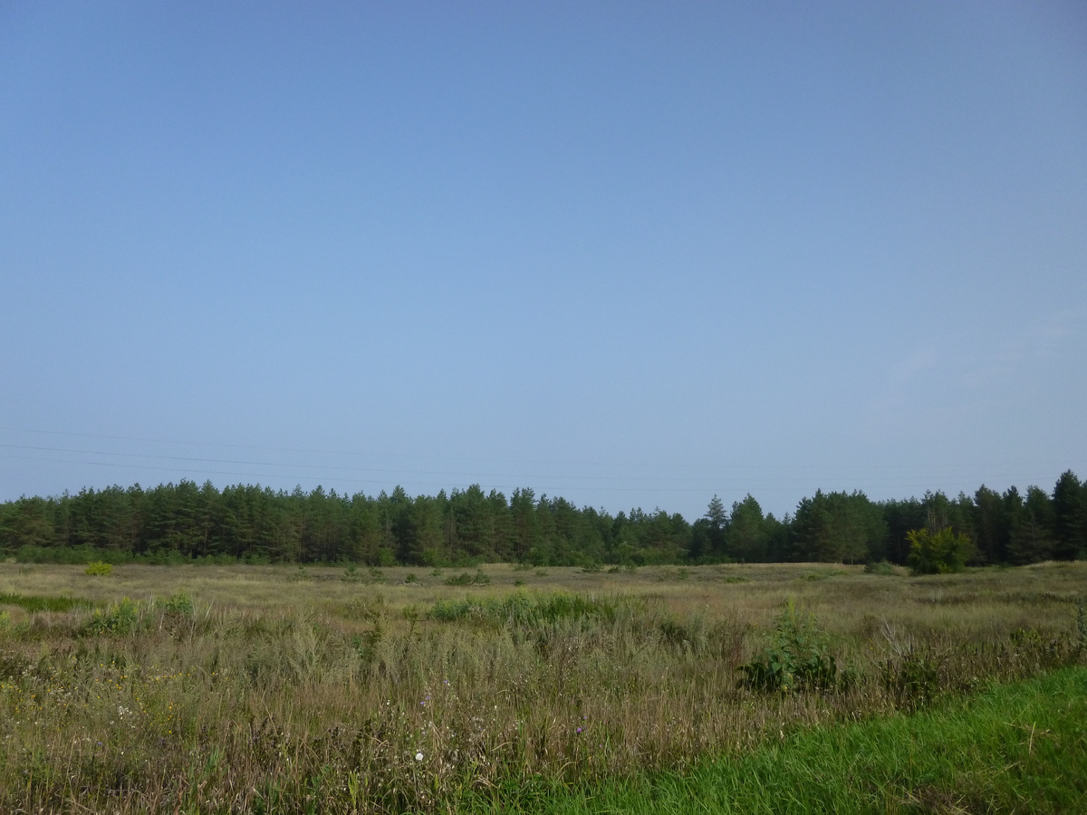 Фото из личного архива