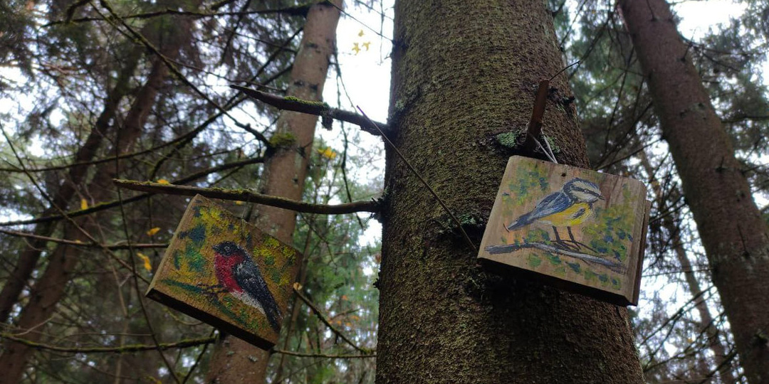 Проверку качества воздуха в Череповце проведут экологи