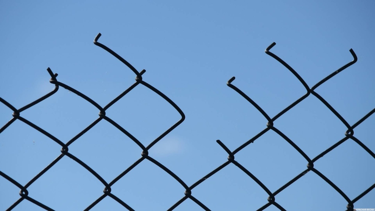     Металлическая сетка   
Анна Рыжкова © ИА Красная Весна