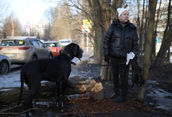 Фото: РИА Новости/Артем Пряхин