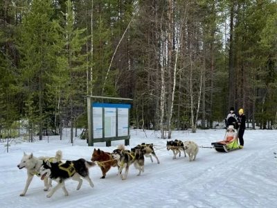    Фото: Минприроды Карелии, источник: Администрация Главы Республики Карелия