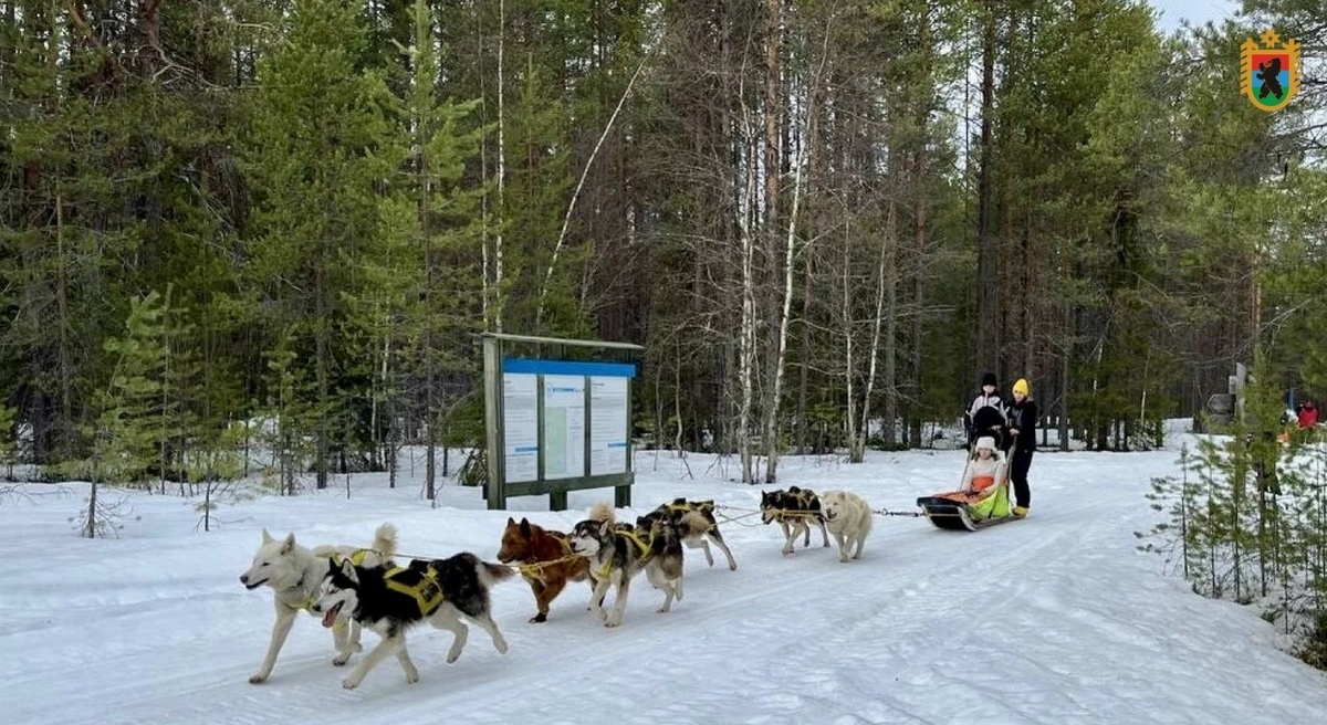    Фото: Минприроды Карелии, источник: Администрация Главы Республики Карелия