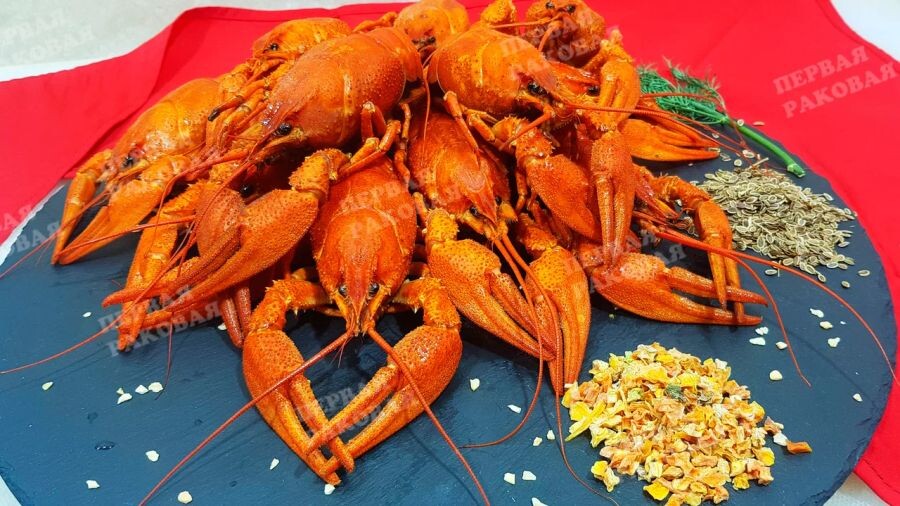 сезон раков 2026